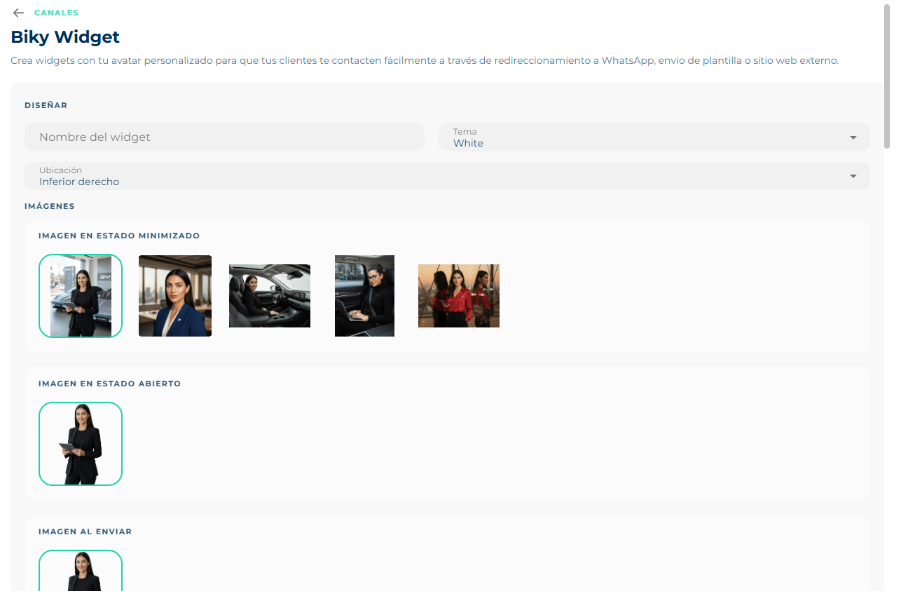 Biky Widget Design block with name, theme and location, and the minimized, open and on-send image galleries